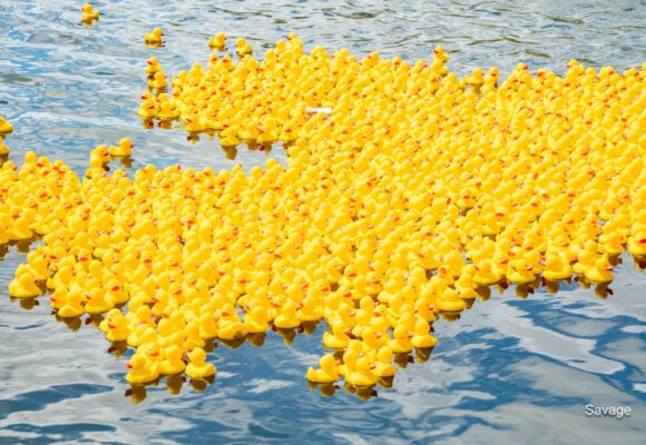 2024 Rubber Ducky Regatta – Our first year at OWA Parks!